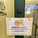 살루스플러스데이케어 | 부천애견유치원 프렌멍 상동역 강아지유치원 데이케어 후기