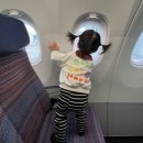 따듯한오후 낮잠소리 | 돌아기 비행기 탑승 후기｜16개월 아기랑 대한항공 나리타행 베시넷·기내식·꿀템 총정리