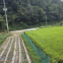 개인택시 태양광발전소 이미지