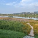 청미천 4 이미지