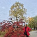 남양갈비 이미지