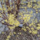 평곡2리 이미지