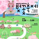 강서 낙동강30리 벚꽃축제(2025년) 이미지