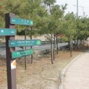 수성동011 이미지