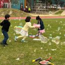 무릉초등학교 이미지