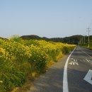 꽃지가는길 이미지