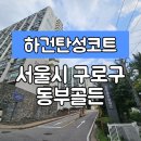 오류동영풍마드레빌 | [서울구로구탄성코트] 서울시 구로구 오류동 동부골든 아파트 탄성코트 시공 다녀왔습니다.