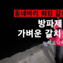 통영 동네방파제 풀치루어 이미지