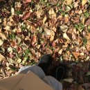 큰전수산 | 오픽 AL 독학 후기(+꿀팁 전수)