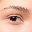 고운눈썹