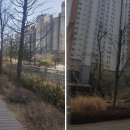 신안인스빌 맞은편 Daum카페