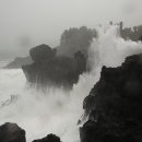 제주 부영호텔 & 리조트 이미지