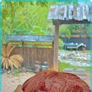 참신한우정육식당 이미지