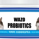 와조펫(WAZOPET) 네이버블로그