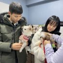 피터팬전자 이미지