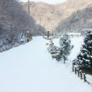 산사이