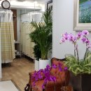 예맥당한의원 이미지