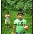 종아농장 이미지