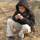 성대초등학교 이미지