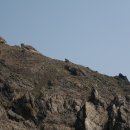 토끼와 거북이길 이미지