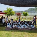 푸른자연유치원 이미지