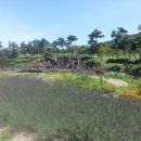 지리산허브벨리 이미지