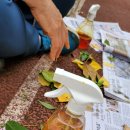 미래자연유치원 이미지