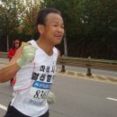 중마애견 이미지