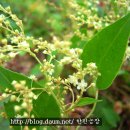 한민농장 이미지