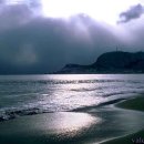 (주)새벽바다