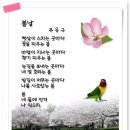 낭랑18세 (백난아) -요요미 노래 이미지