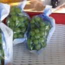 슬기네농장 이미지