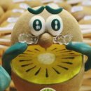 돌쇠 PC | 11월 _정산