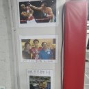 불독복싱 이미지