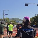 서귀포보건소 주민건강증진센터 | #마라톤후기 2026 제주도민체육대회 10km 완주 및 서귀포 코스 꿀팁