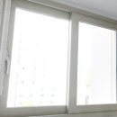 우진그린 이미지