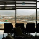 싱그러운청도로(여름) | 경북 청도 가볼만한곳 대형 브런치 카페 엘파라이소365