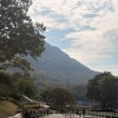 길식당 | 순창 용궐산 하늘길 등산 코스 주차장 근처 맛집 미소 식당 후기