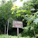 김진규농장 이미지