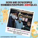 김천연합동물병원 이미지