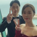 다인코리아 티스토리