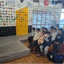 단국대 백호 태권도장 이미지