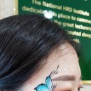 국가공무원 인재개발원 이미지