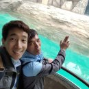 임마누엘의집 이미지