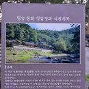 닭실마을 이미지