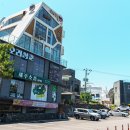 함덕면장