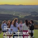 자연속으로 | 시드니 그랜드캐년 투어 후기,하루 종일 자연 속으로 떠난 완벽한 모험