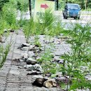 무성종합체육관 이미지