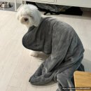 멍멍그루밍 이미지