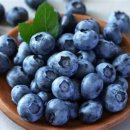 루루베리 이미지